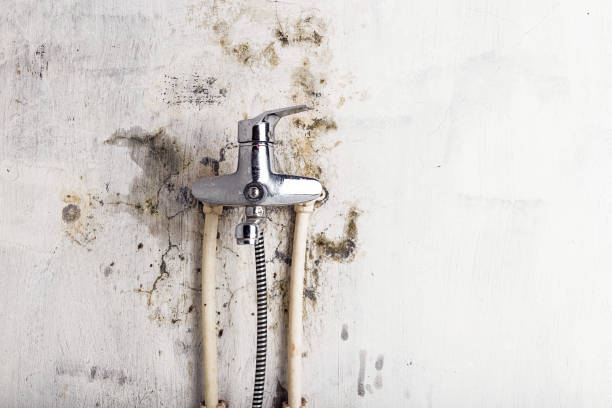 Best HVAC Mold Remediation in Monona, WI