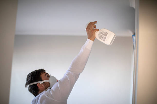 Best Commercial Mold Remediation in Monona, WI