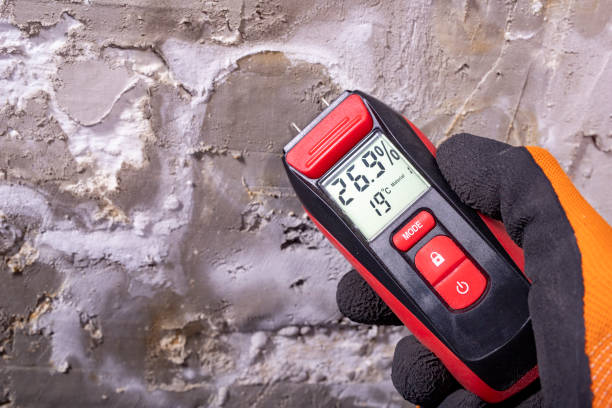 Best Crawl Space Mold Remediation in Monona, WI