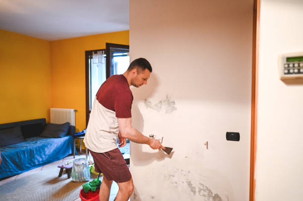 Best Insurance-Related Mold Remediation in Monona, WI